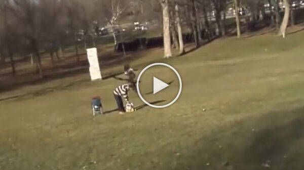 A shocking viral video that shows an eagle snatching a baby from the park