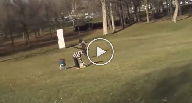 A shocking viral video that shows an eagle snatching a baby from the park