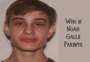 Noah Galle gets arrested by the police after the car crash – MACG Magazine