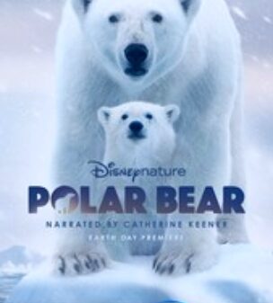 Polar Bear season 1