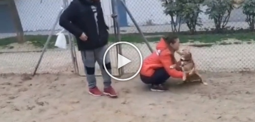 The viral video leaves netizens in tears as the dog reunites with its owner after being missing for 5 years